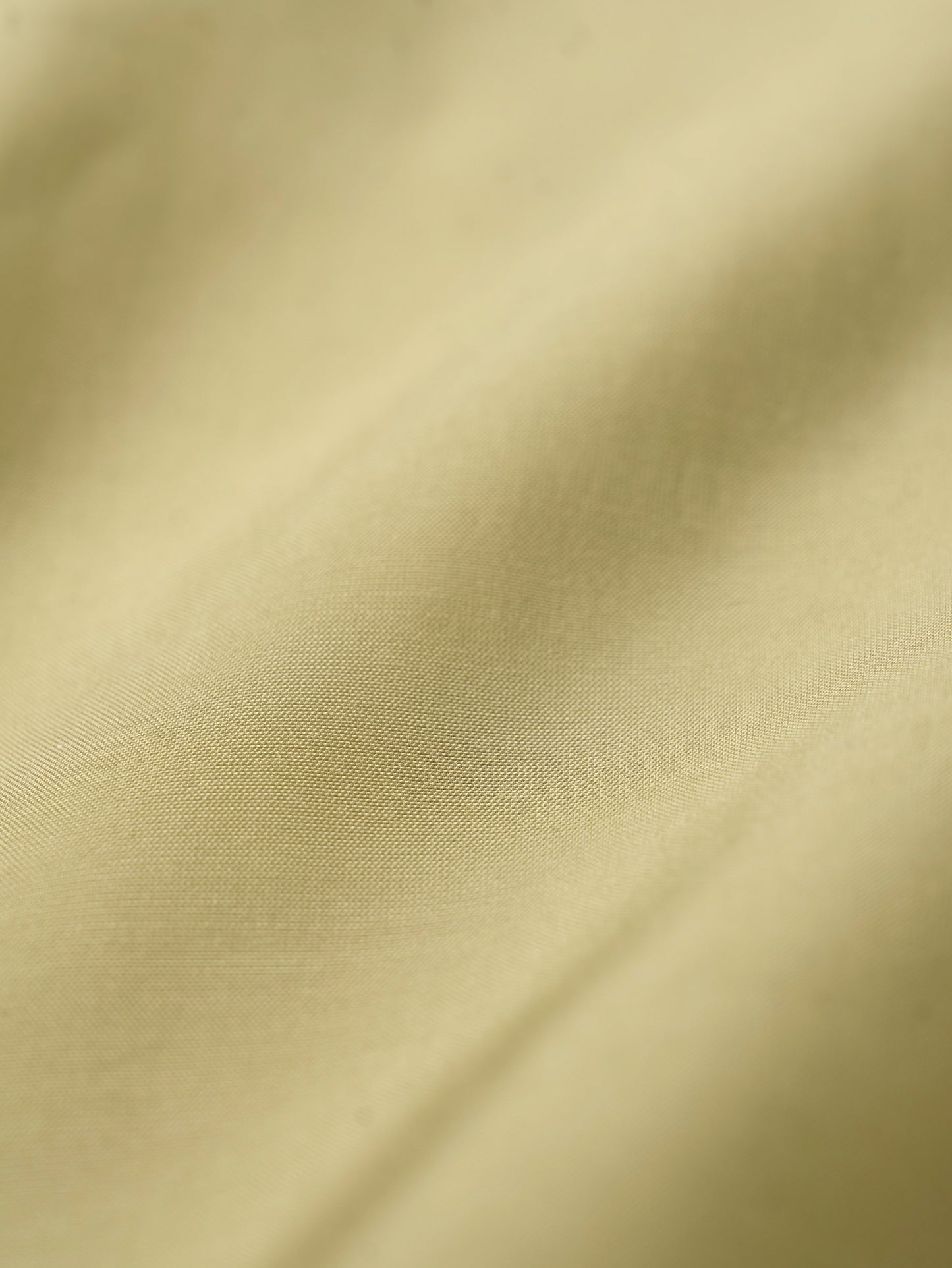 O'KEEFFE SHIRTS [ Sage Green ]