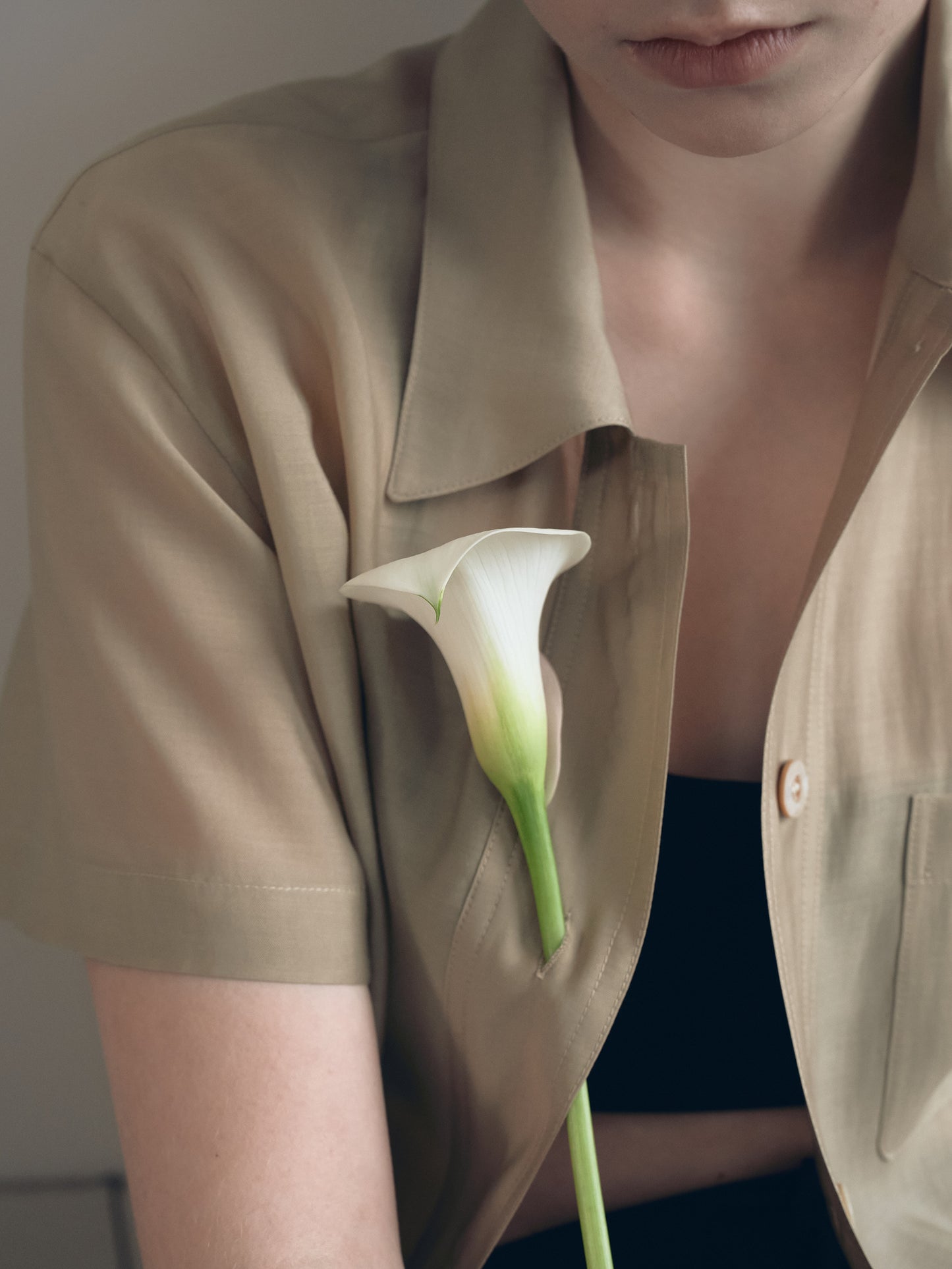 O'KEEFFE SHIRTS [ Sage Green ]